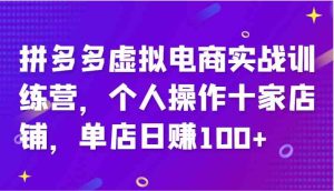 拼多多虚拟电商实战训练营，个人操作十家店铺，单店日赚100+-琴书聊项目