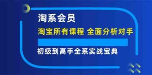 淘系会员初级到高手全系实战宝典【淘宝所有课程，全面分析对手】-琴书聊项目