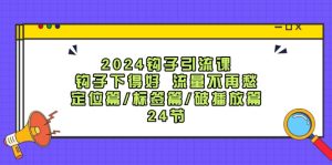 （12097期）2024钩子·引流课：钩子下得好 流量不再愁，定位篇/标签篇/破播放篇/24节-琴书聊项目