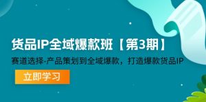 货品IP全域爆款班【第3期】赛道选择、产品策划到全域爆款，打造爆款货品IP-琴书聊项目