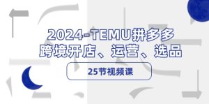 （12106期）2024-TEMU拼多多·跨境开店、运营、选品（25节视频课）-琴书聊项目