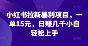 小红书拉新暴利项目，一单15元，日赚几千小白轻松上手-琴书聊项目