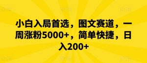 小白入局首选，图文赛道，一周涨粉5000+，简单快捷，日入200+-琴书聊项目