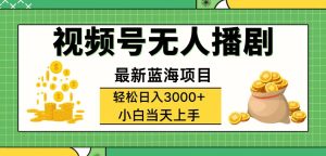 （12128期）视频号无人播剧，轻松日入3000+，最新蓝海项目，拉爆流量收益，多种变…-琴书聊项目