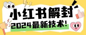 2024最新小红书账号封禁解封方法，无限释放手机号-琴书聊项目
