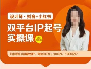 双平台IP起号实操营，教你如何靠打造设计IP，赚到10万、100万、1000万?-琴书聊项目
