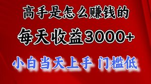 （12144期）1天收益3000+，月收益10万以上，24年8月份爆火项目-琴书聊项目