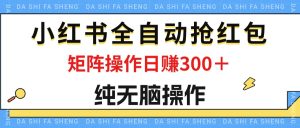 （12151期）最新小红书全自动抢红包，单号一天50＋  矩阵操作日入300＋，纯无脑操作-琴书聊项目
