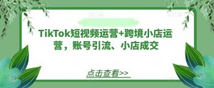 TikTok短视频运营+跨境小店运营，账号引流、小店成交-琴书聊项目