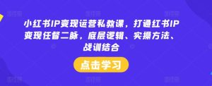 小红书IP变现运营私教课，打通红书IP变现任督二脉，底层逻辑、实操方法、战训结合-琴书聊项目
