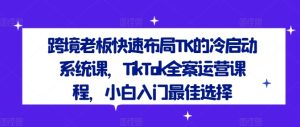 跨境老板快速布局TK的冷启动系统课，TikTok全案运营课程，小白入门最佳选择-琴书聊项目
