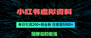 （12164期）小红书虚拟资料日引流200+创业粉，单日变现5000+-琴书聊项目
