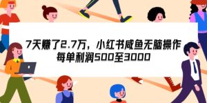 (12192期)7天收了2.7万,小红书咸鱼无脑操作,每单利润500至3000-琴书聊项目