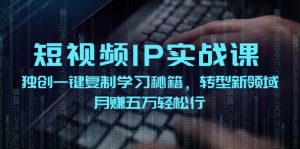 （12193期）短视频 IP实战课，独创一键复制学习秘籍，转战新领域，月赚五万轻松行-琴书聊项目