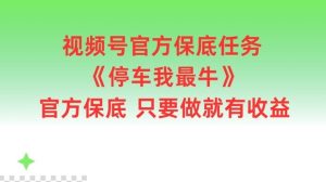 视频号官方保底任务，停车我最牛，官方保底只要做就有收益【揭秘】-琴书聊项目
