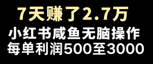 七天赚了2.7万!每单利润最少500+,轻松月入5万+小白有手就行-琴书聊项目