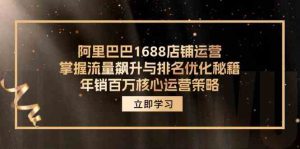 阿里巴巴1688店铺运营，掌握流量飙升与排名优化秘籍 年销百万核心运营策略-琴书聊项目