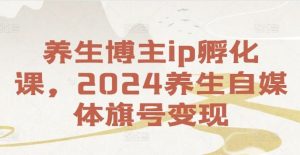 养生博主ip孵化课，2024养生自媒体旗号变现-琴书聊项目