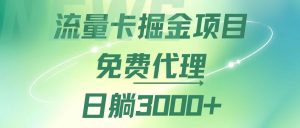 （12321期）流量卡掘金代理，日躺赚3000+，变现暴力，多种推广途径-琴书聊项目