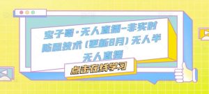 宝子哥·无人直播-非实时防风技术(更新8月)无人半无人直播-琴书聊项目
