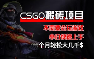 （12332期）CSGO 装备搬砖项目，操作简单，不需要会玩游戏，小白也能快速上手，一…-琴书聊项目