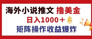 （12333期）最新海外小说推文撸美金，日入1000＋ 蓝海市场，矩阵放大收益爆炸-琴书聊项目