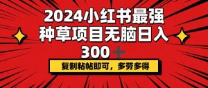 （12336期）2024小红书最强种草项目，无脑日入300+，复制粘帖即可，多劳多得-琴书聊项目