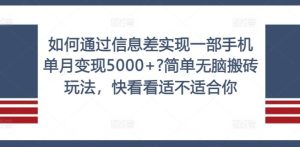 如何通过信息差实现一部手机单月变现5000+?简单无脑搬砖玩法，快看看适不适合你【揭秘】-琴书聊项目