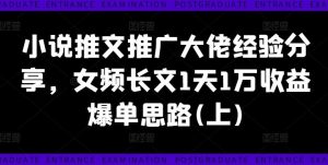 小说推文推广大佬经验分享，女频长文1天1万收益爆单思路(上)-琴书聊项目