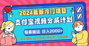 （12407期）2024最新冷门项目！支付宝视频分成计划，直接粗暴搬运，日入2000+，有…-琴书聊项目