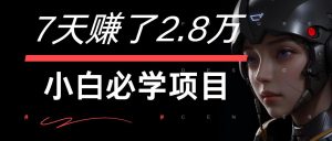 7天赚了2.8万！每单利润最少500+，轻松月入7万+小白有手就行-琴书聊项目