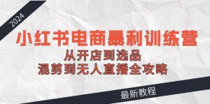 2024小红书电商暴利训练营：从开店到选品，混剪到无人直播全攻略-琴书聊项目