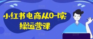 小红书电商从0-1实操运营课，小红书手机实操小红书/IP和私域课/小红书电商电脑实操板块等-琴书聊项目
