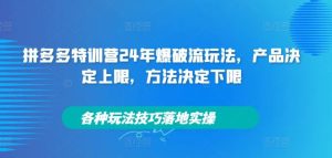 拼多多特训营24年爆破流玩法，产品决定上限，方法决定下限，各种玩法技巧落地实操-琴书聊项目