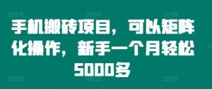 手机搬砖项目，可以矩阵化操作，新手一个月轻松5000多-琴书聊项目