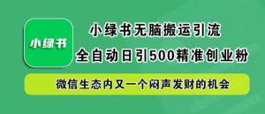 小绿书无脑搬运引流，全自动日引500精准创业粉，微信生态内又一个闷声发财的机会【揭秘】-琴书聊项目