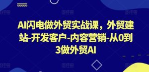 AI闪电做外贸实战课，​外贸建站-开发客户-内容营销-从0到3做外贸AI(更新)-琴书聊项目