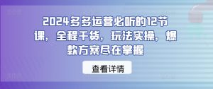 2024多多运营必听的12节课，全程干货，玩法实操，爆款方案尽在掌握-琴书聊项目