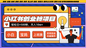 小红书创业粉日+500，月入10W+，无脑操作，每天20分钟-琴书聊项目