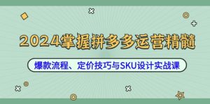 2024掌握拼多多运营精髓：爆款流程、定价技巧与SKU设计实战课-琴书聊项目