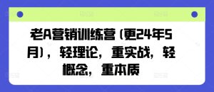 老A营销训练营(更24年9月)，轻理论，重实战，轻概念，重本质-琴书聊项目