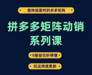 拼多多矩阵动销系列课，能持续盈利的多多矩阵，0基础也听得懂，玩法持续更新-琴书聊项目