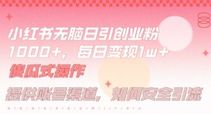 小红书无脑每日引流创业粉500+，小白每天只花半小时，躺赚长尾收益【揭秘】-琴书聊项目