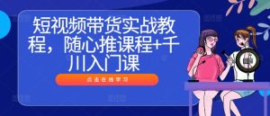 短视频带货实战教程，随心推课程+千川入门课-琴书聊项目