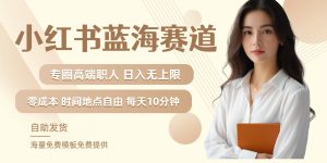 小红书蓝海赛道，圈中高端职场人，月入无上限，可矩阵，内含私域实操教程!-琴书聊项目
