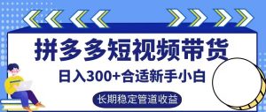 拼多多短视频带货日入300+有长期稳定被动收益，合适新手小白【揭秘】-琴书聊项目