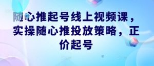 随心推起号线上视频课，实操随心推投放策略，正价起号-琴书聊项目