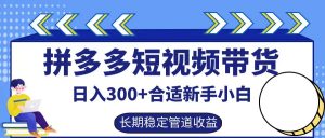 拼多多短视频带货日入300+,实操账户展示看就能学会-琴书聊项目