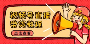 视频号直播带货教程：选品思路与话术拆解/掌握多种带货套路/提升直播效果-琴书聊项目