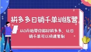 拼多多日销千单训练营，从0开始带你做好拼多多，让日销千单可以快速复制-琴书聊项目